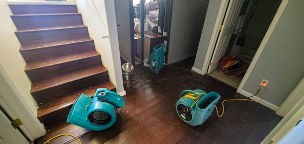 Best Commercial water damage restoration  in Belterra, TX