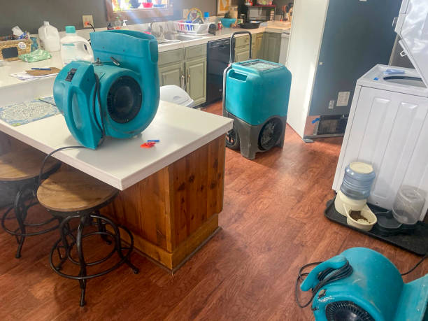 Best Flood restoration services  in Belterra, TX