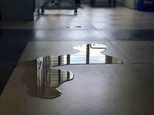 Best Carpet water damage restoration  in Belterra, TX