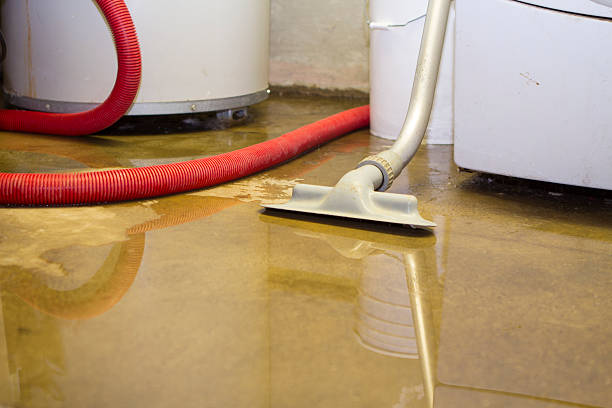 Best Water damage restoration company  in Belterra, TX