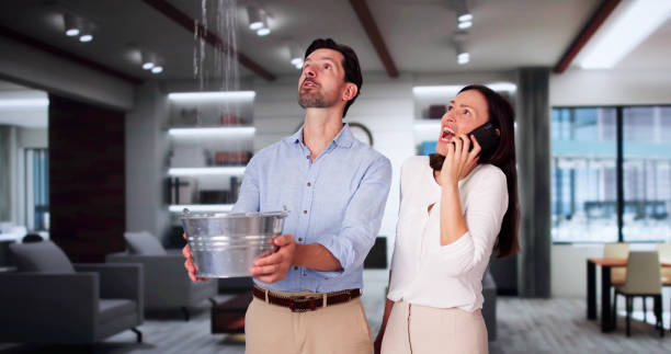 Best Local water damage restoration  in Belterra, TX